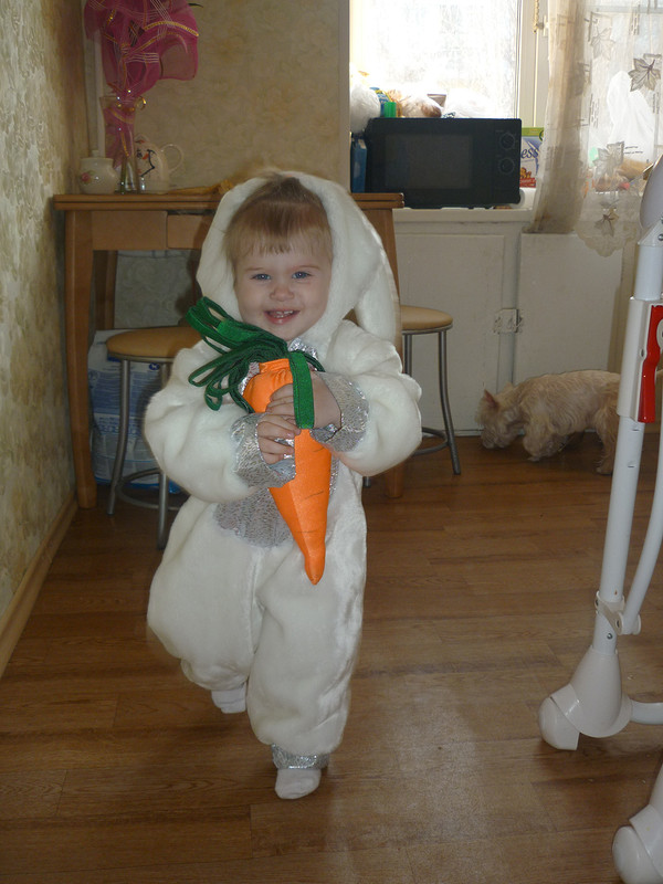костюм кролика и морковка от bestis