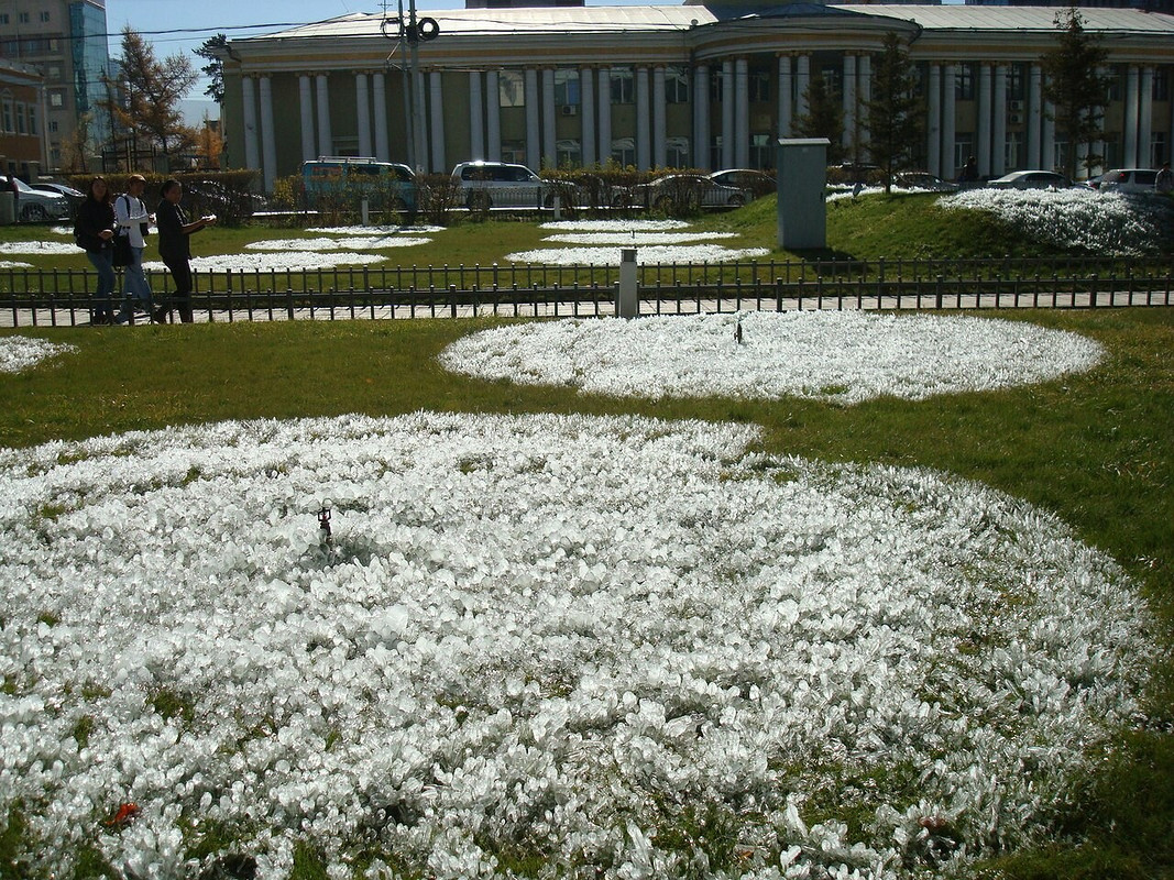 Пальто на осень от вероникавера