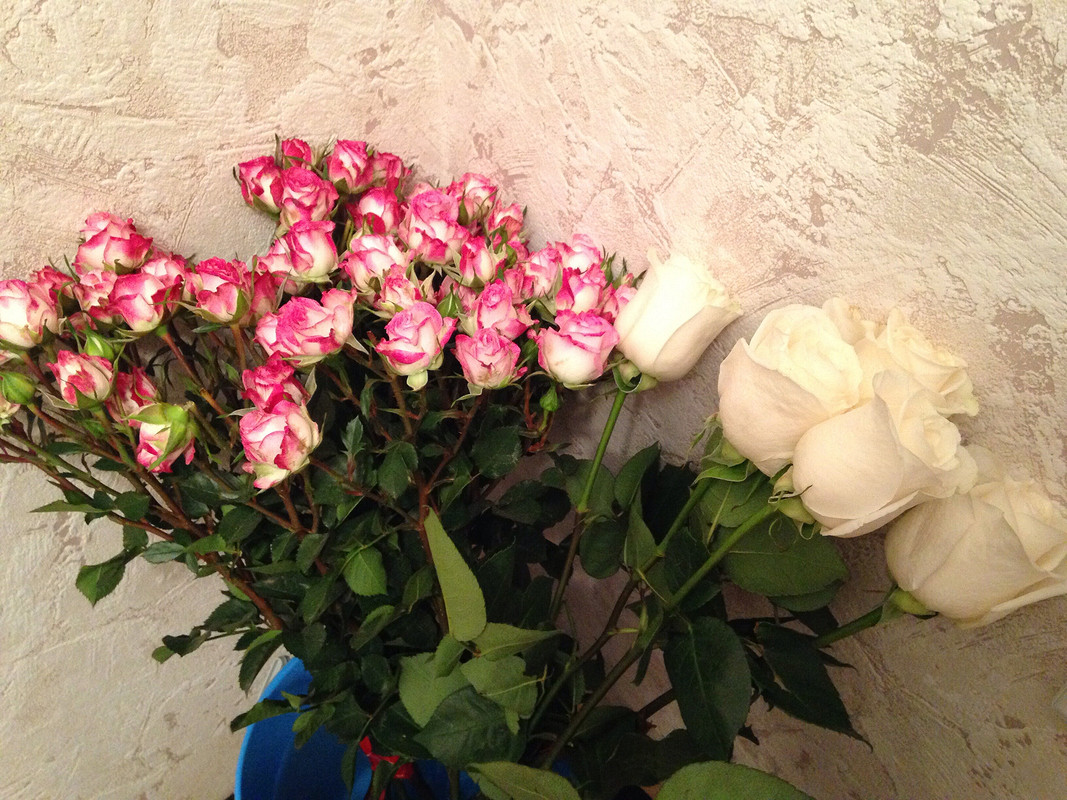 Розы на сером вязаном полотне от НатальяNes