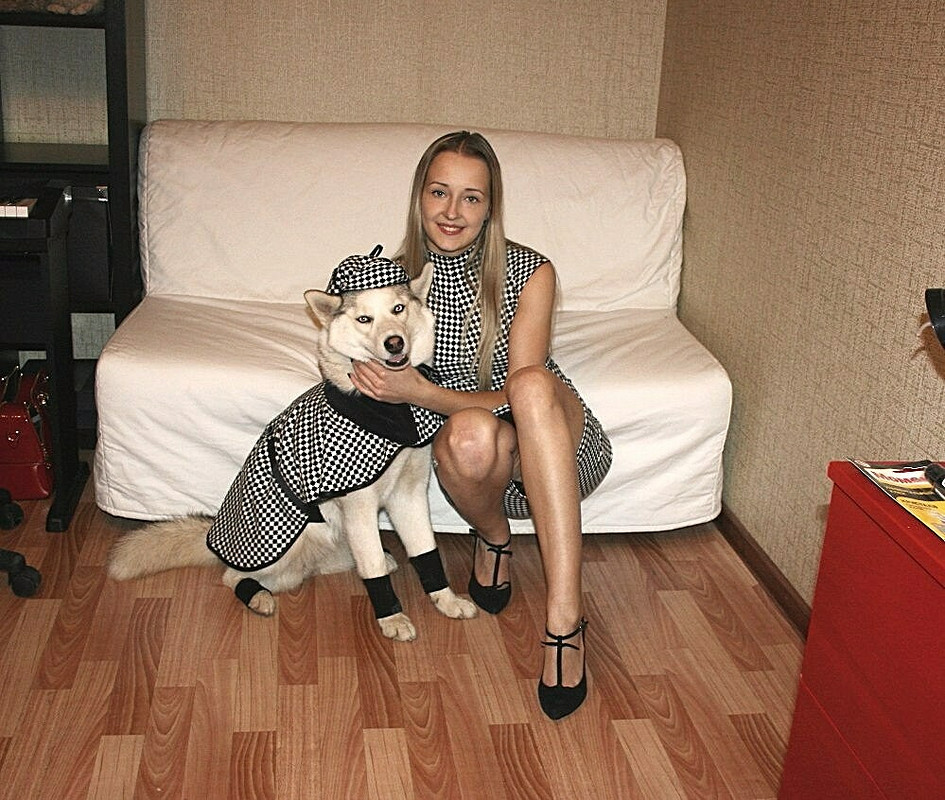 Костюм «Шерлок Хаски» для собачьей выставки от Oliviya15