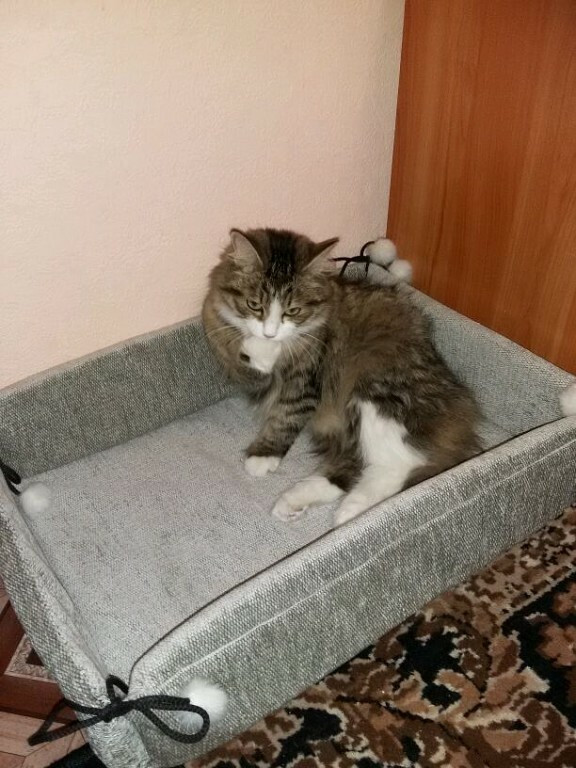 Лежак для кошки от Sweet Lana