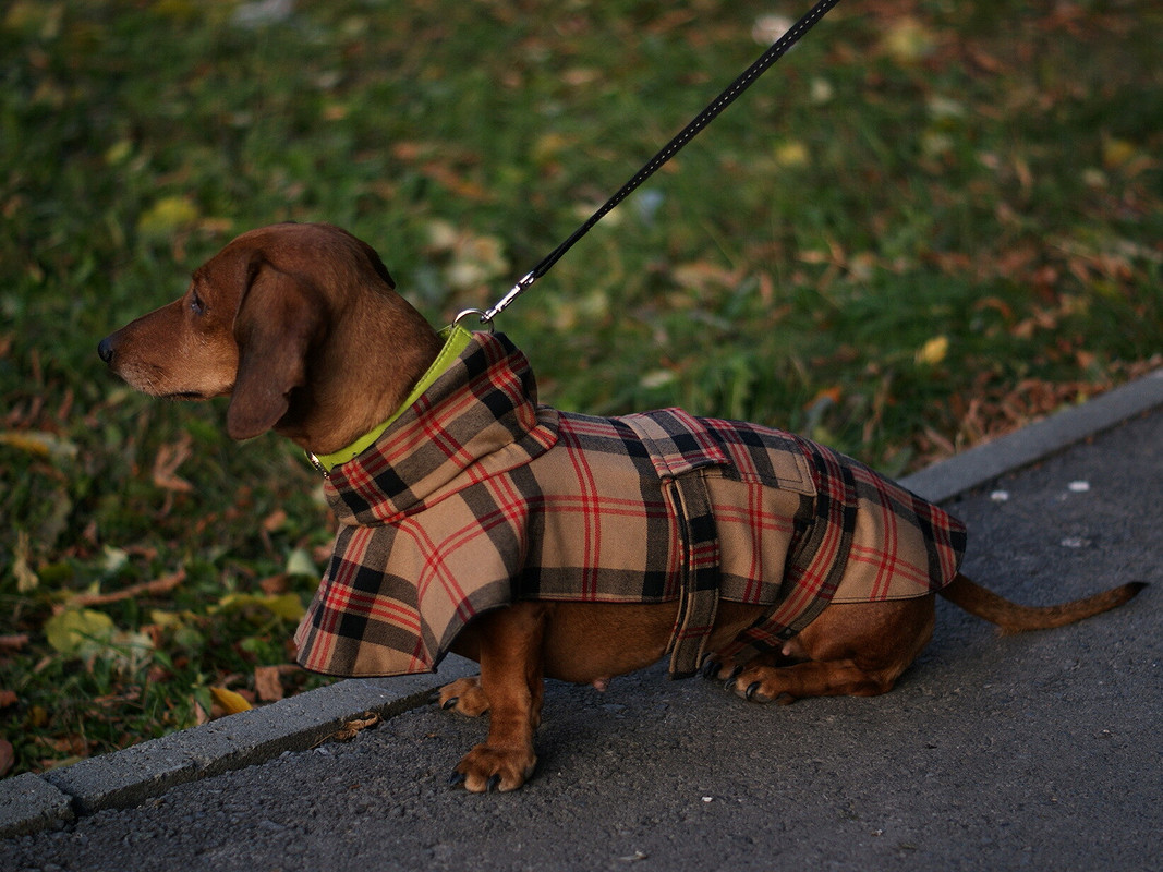 Осенний привет от Burberry от AnastasiyaGololobova