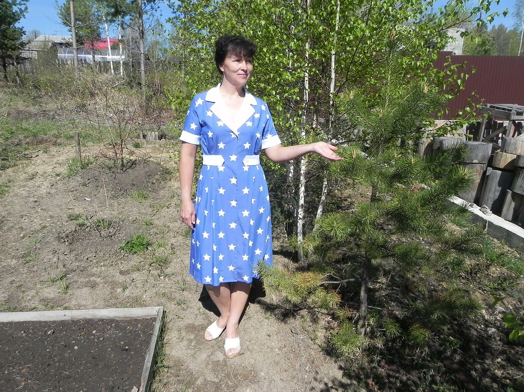 Платье по выкройке жакета от Elena_Trifonova