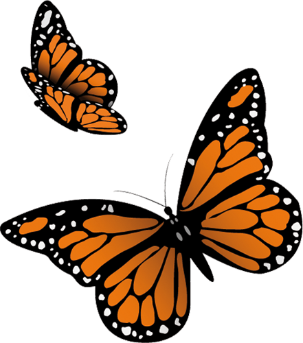 Бабочки от Савирина