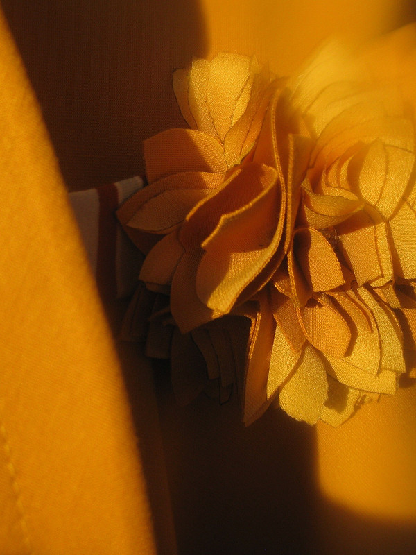В жёлтом цвете от nastasa