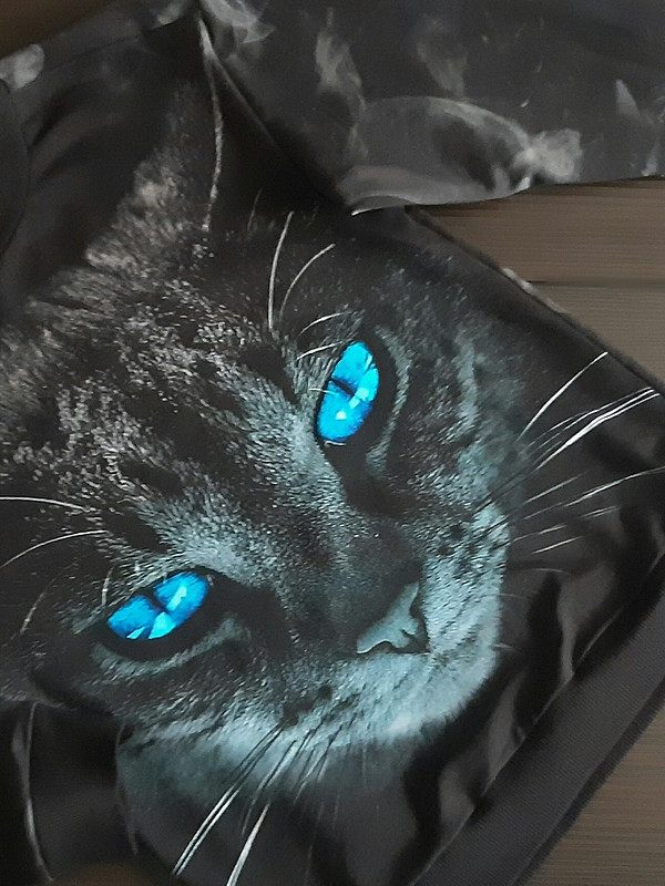 Кошечка с голубыми глазами от SvetlankaM