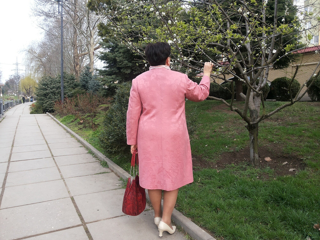 Весна в розовом цвете от Kirolga