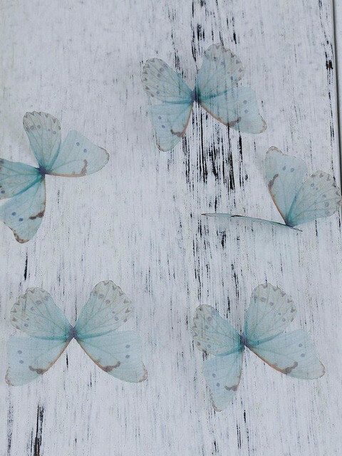 Бабочки от Олеся Новик