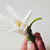 Брошь-цветок из фетра за полчаса своими руками