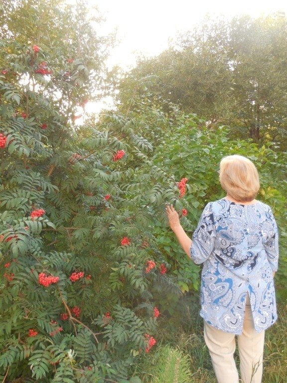 День осеннего равноденствия. Прогулка с Таурой от Taura