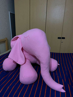 Работа с названием Мой розовый слон