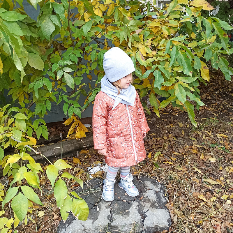 Осеннее пальто от moiseeva22