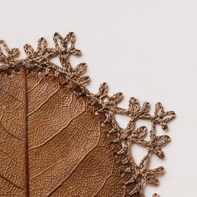 Тонкие миниатюры, созданные в соавторстве с природой: рукодельный instagram недели
