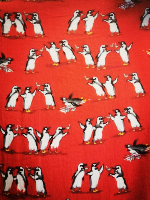 Анорак с пьющими пингвинами от Labyrinth 