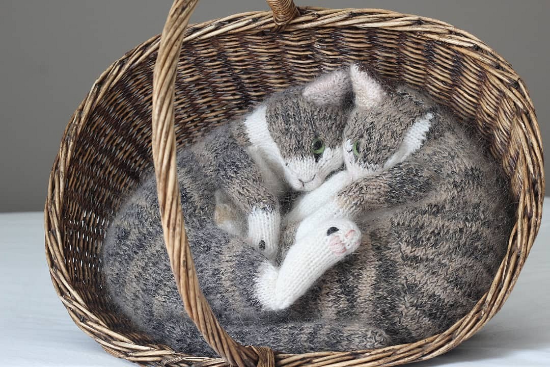 Кошка в лукошке - картинки и фото витамин-п-байкальский.рф