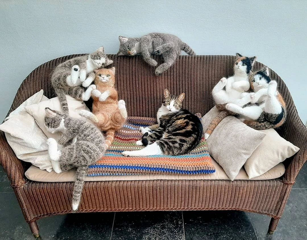 Вязаные котики удивительной реалистичности: рукодельный instagram недели Хильде, пряжи, с помощью, игрушек, спутать, героиня, её страницы —, вязаные, мастей, Невероятно, удаётся, но её игрушки, выглядят, настолько, реалистично, их нетрудно, с живыми, Но главные, котами, кошками