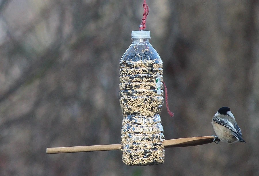 Кормушка для птиц своими руками: красивые и практичные кормушки для детей
