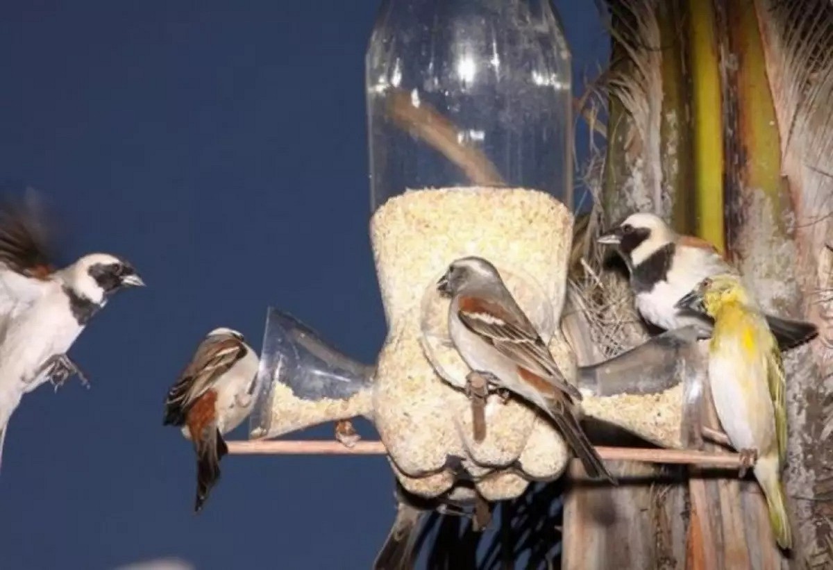 Как быстро и просто сделать кормушку для птиц из пластиковой бутылки?