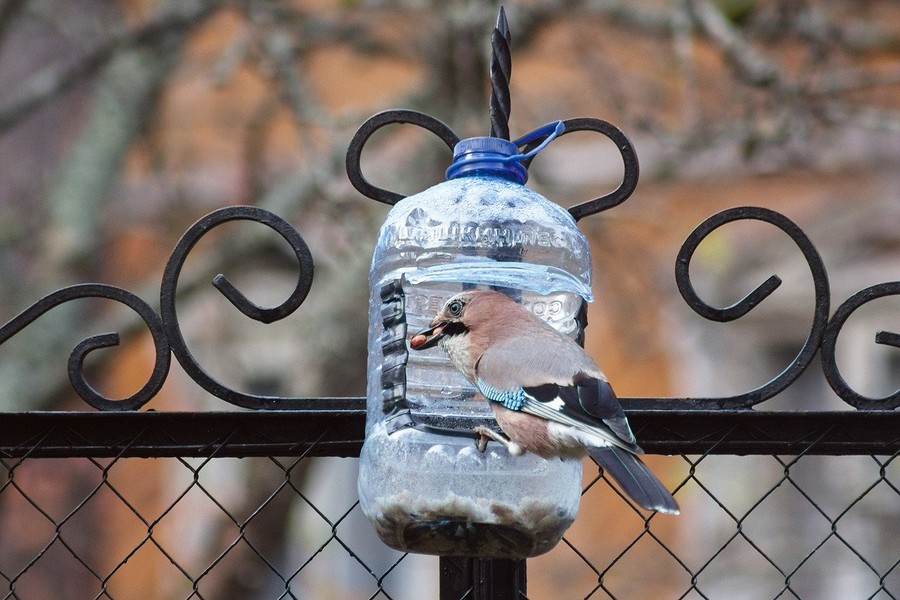 Идеи красивых кормушек для птиц из пластиковой бутылки своими руками: примеры с фото