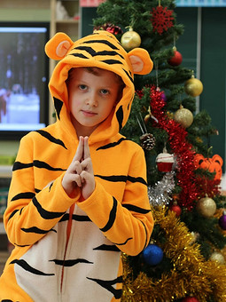 Карнавальный костюм Тигра