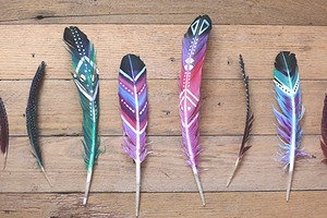 Как покрасить перья для декора: мастер-класс