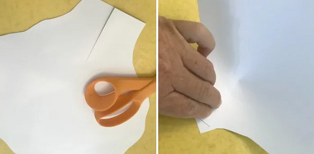 Как сделать большие бумажные цветы своими руками: мастер-класс