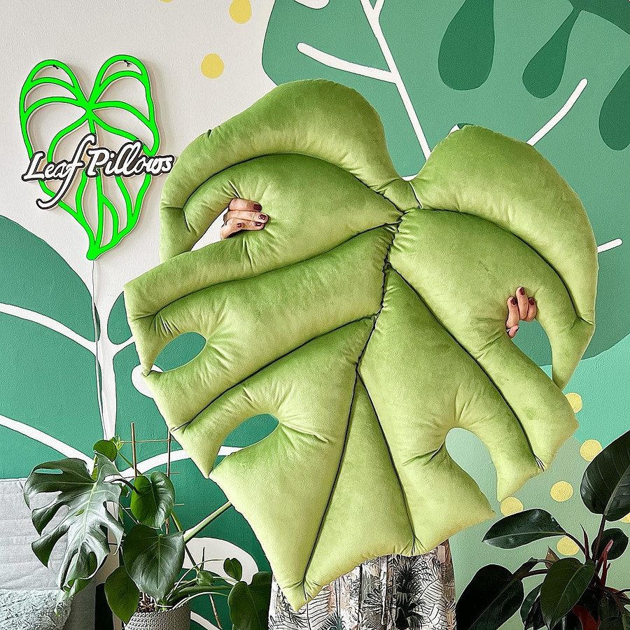 Гигантские листья растений, которые можно обнять: швейный блог недели