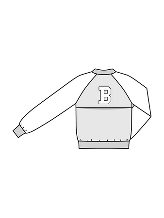 Технический рисунок блузона с рукавами реглан спинка