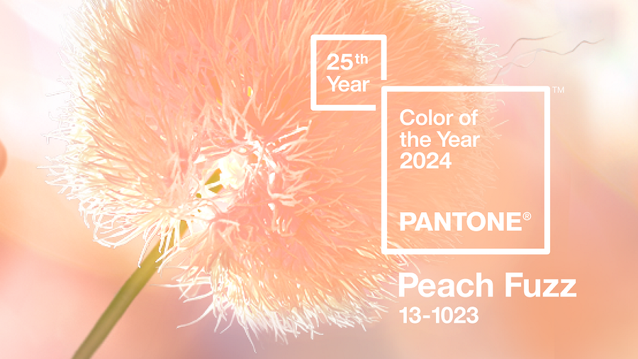 Институт цвета Pantone назвал главный цвет 2024 года