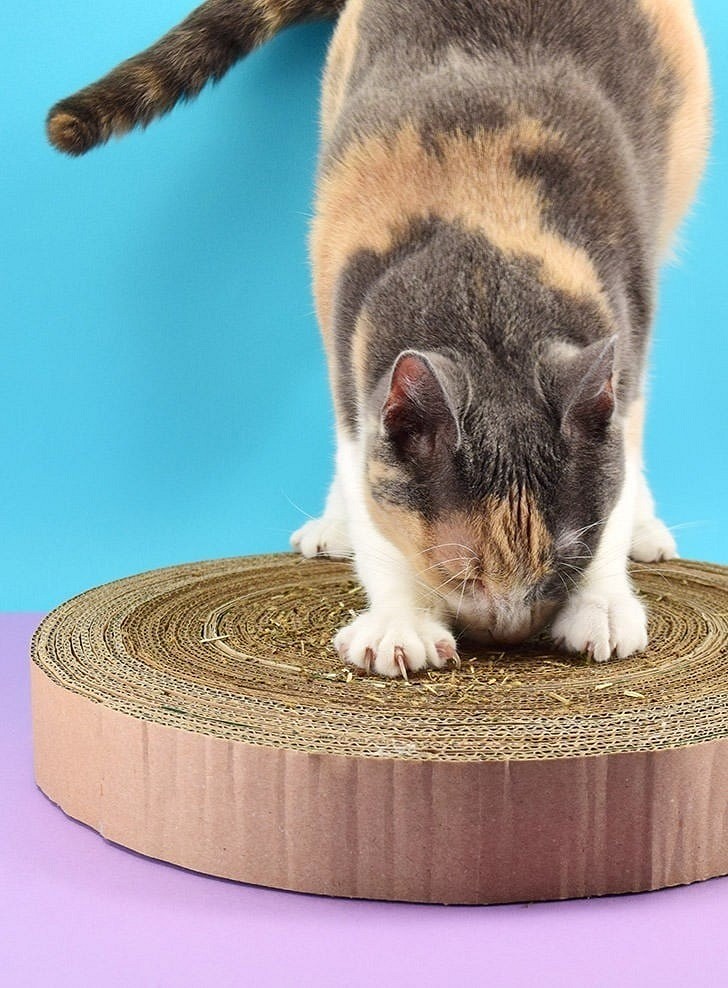 11 идей как сделать когтеточку для кошки своими руками