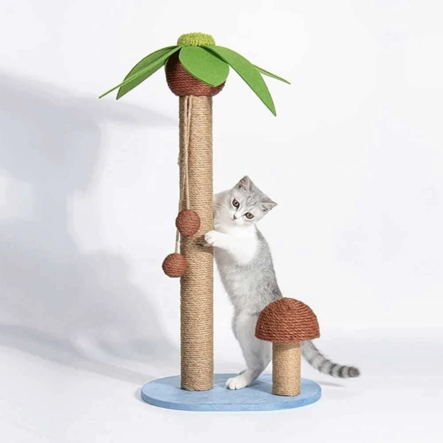 Kendin Yap kedi tırmalama tahtası: 3 ana sınıf + fikir