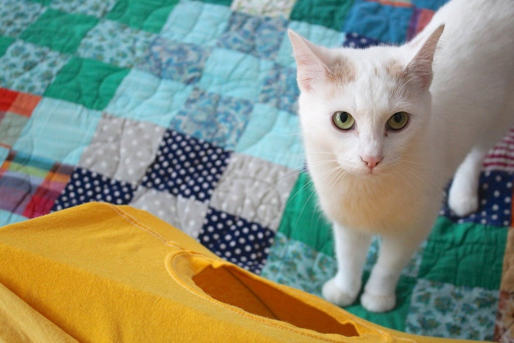 Домик для кошки из футболки своими руками
