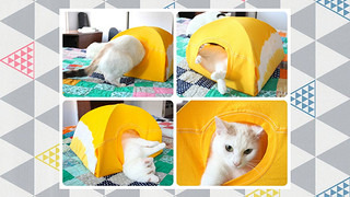 Как сделать домик для кошки своими руками: мастер класс