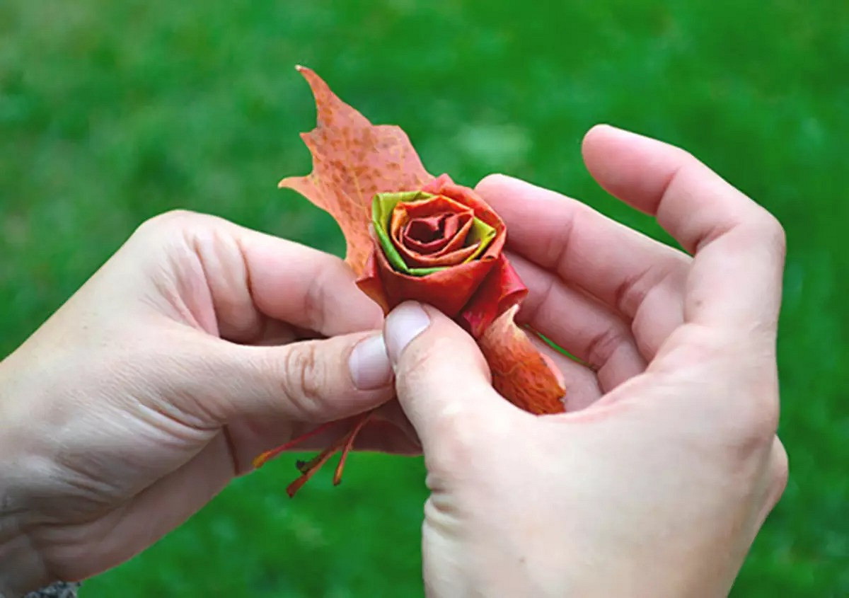 Роза из листьев Клена 🍁 Как сделать цветок из кленовых листьев