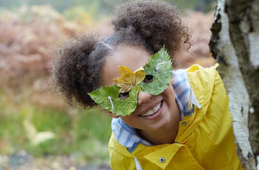 Поделки из листьев: 20 чудесных идей для детей всех возрастов