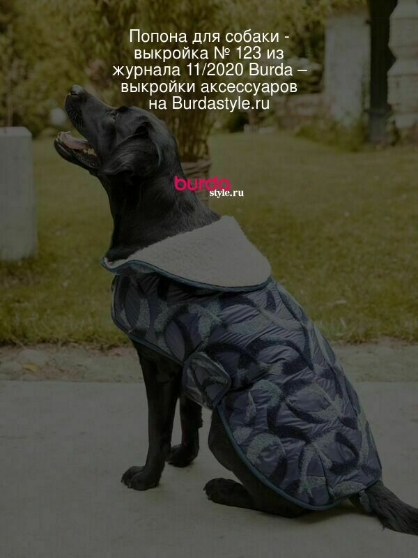 Попонка для собаки после операции своими руками (71 фото) - картинки kormstroytorg.ru
