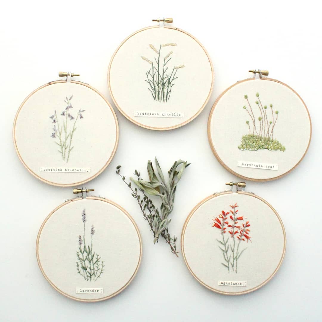 Ботаническая вышивка от художницы из Колорадо: Instagram недели