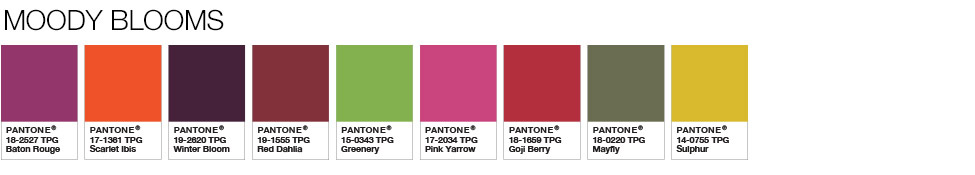 Главный цвет 2017 года по версии Пантон